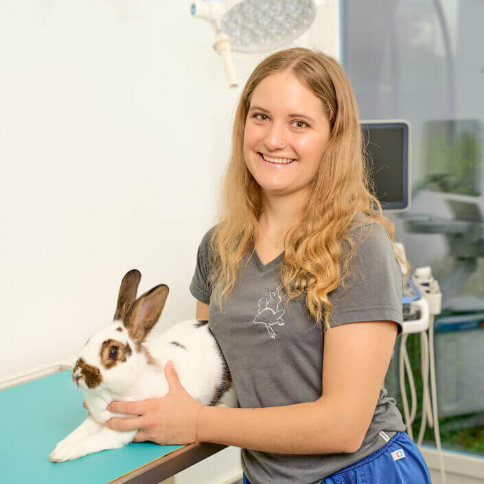 tiermedizinische-praxisassistentinnen-exotenpraxis-ihre-praxis-f-r